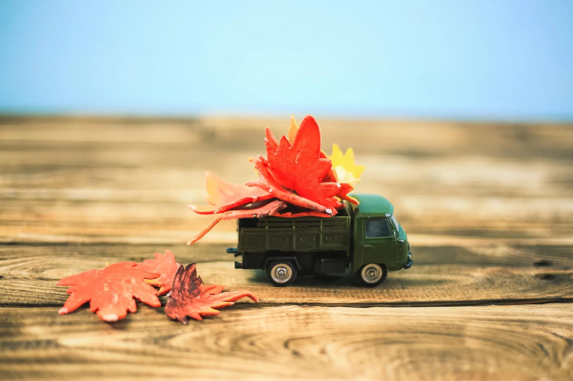 A fleet truck being washed during different seasons