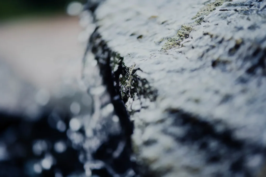 Catch Basin Cleaning Protecting Your Property from Stormwater Damage