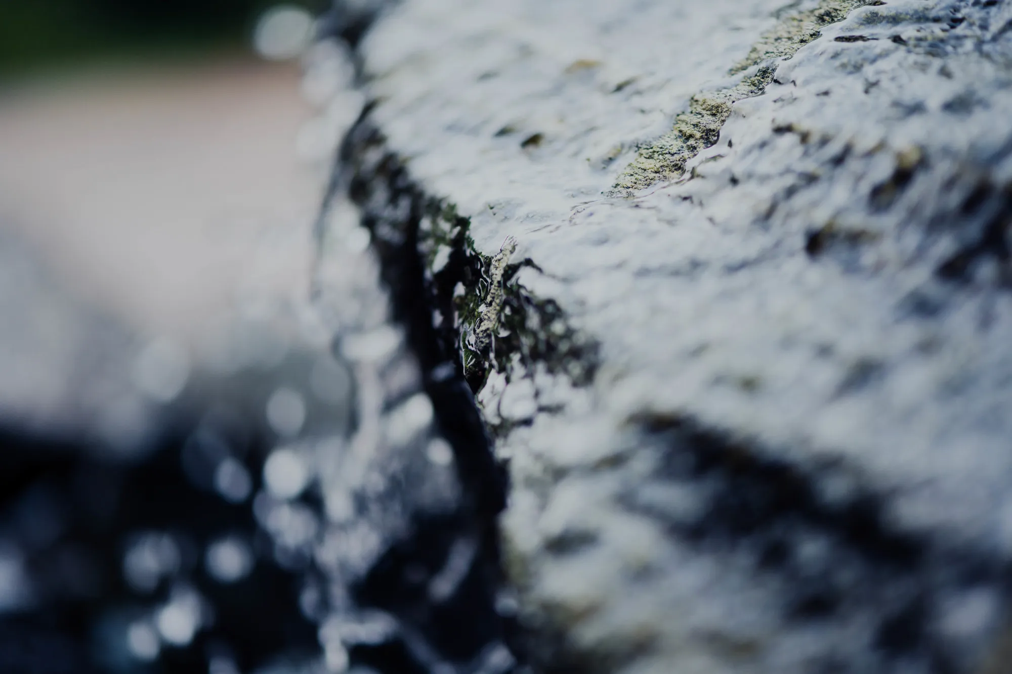 Catch Basin Cleaning Protecting Your Property from Stormwater Damage