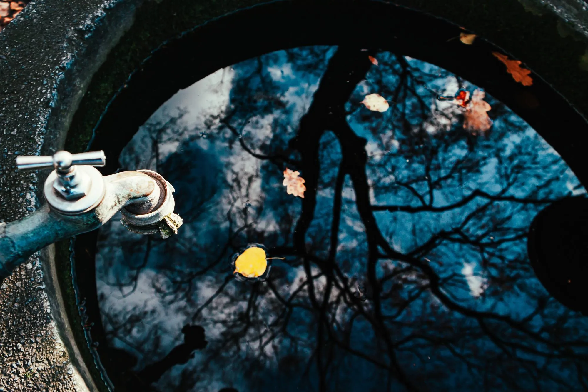 Catch Basin Cleaning: Why It's Critical for Preventing Flooding
