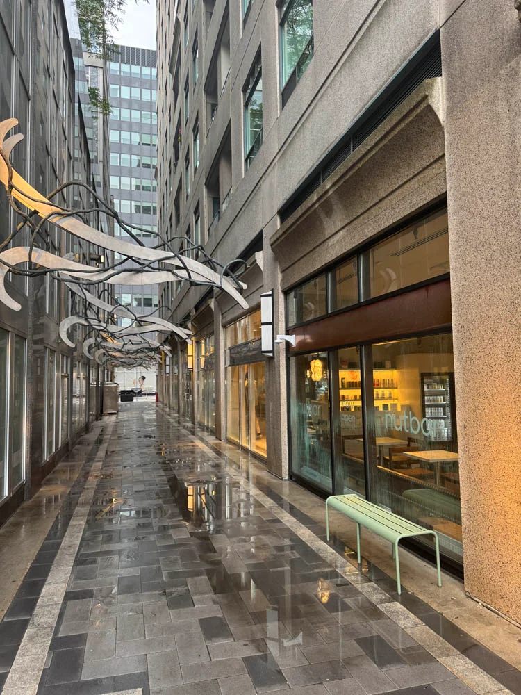 Windows, wall, floor wash - Toronto